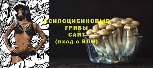крисы Няндома